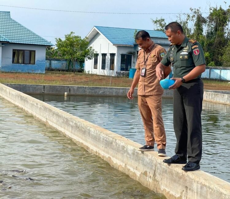 Perkuat Ketahanan Pangan, Kodim Tana Tidung Jalin Sinergi dengan Balai Benih Ikan