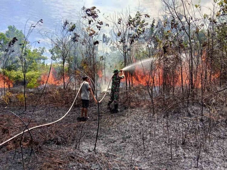 Aksi Sigap Babinsa Koramil 0902-04/Trd Padamkan Karhutla di Teluk Bayur   