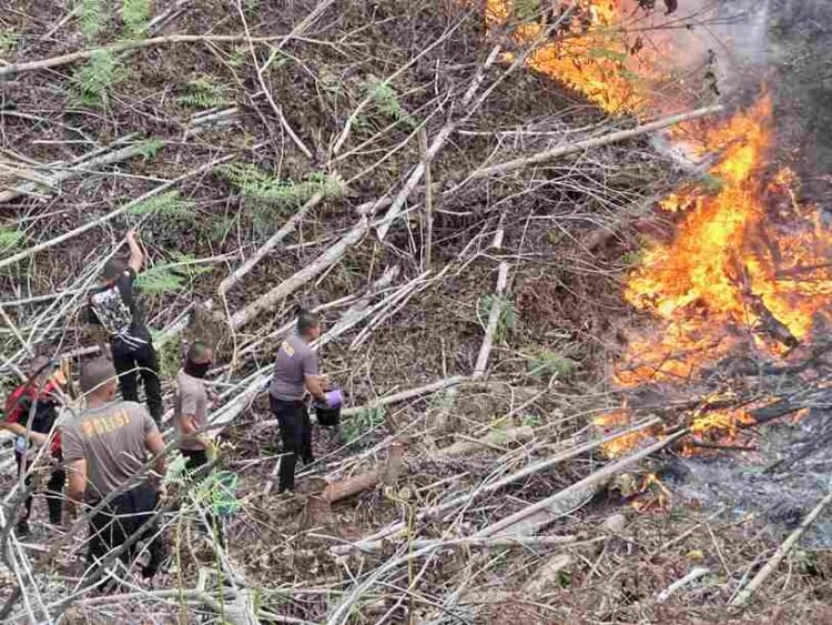 Ditsamapta Polda Kaltara Berjibaku Padamkan Karhutla di Tanjung Selor KM 6