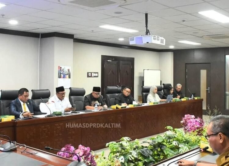 Bahas Ranperda PPPLH, DPRD Kaltim Soroti Sanksi dan Reklamasi Tambang   