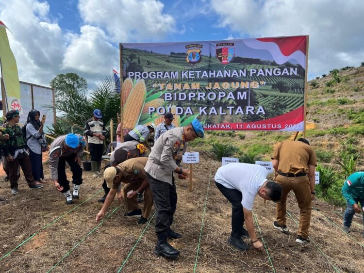 Bidpropam Polda Kaltara Dukung Ketahanan Pangan Dengan Kegiatan Tanam Jagung