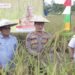 Kabid Humas Polda Kaltara Hadiri Panen Perdana Padi Lokal dan Peresmian Bangsal Pasca Panen di Tanjung Palas Timur