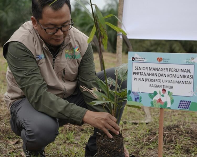 PLN Tanam 1.000 Pohon Aren: Wujud Nyata Semangat Kemerdekaan untuk Udara Bersih dan Kemandirian Ekonomi Warga
