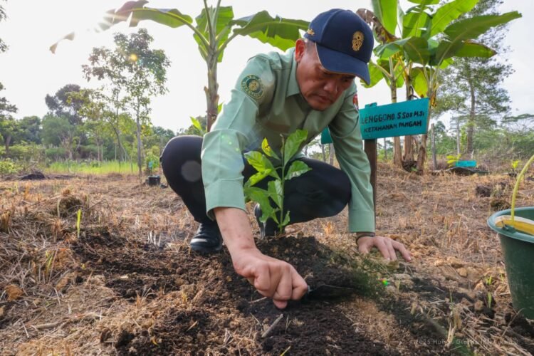 Menanam Harapan, Merawat Nusantara: Otorita IKN dan Petani Sepaku Tumbuhkan Asa Melalui Kopi Liberika