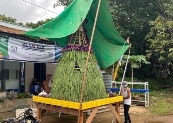 Karnaval Budaya Bakal Semarakkan HUT RI dan Hari Jadi Tana Tidung   