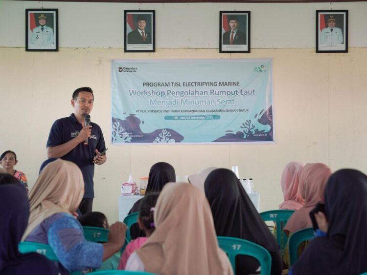 Electrifying Marine: PLN Angkat Rumput Laut Jadi Produk Unggulan