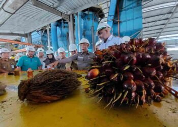 Genjot PAD, Bulungan Optimalkan Potensi Perkebunan, Energi, dan Migas    