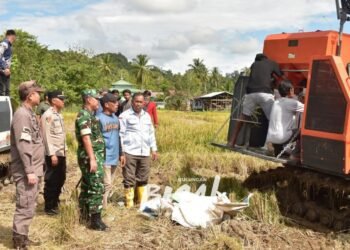 Bupati Syarwani Apresiasi Panen Raya Petani Desa Antutan, Tegaskan Pentingnya Ketahanan Pangan