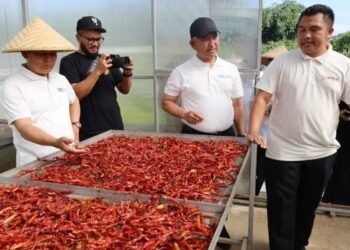 Belajar dari Inovasi Pertanian Jawa Barat, Tarakan Perkuat Ketahanan Pangan