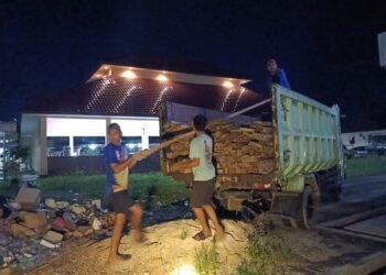 Penyelundupan Kayu Meranti di Perairan Tarakan Terbongkar, Polisi Amankan 14,3 Kubik   