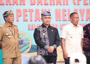 Pemkot Tarakan Maksimalkan Lahan untuk Pertanian Kelapa, Kakao, dan Kopi   