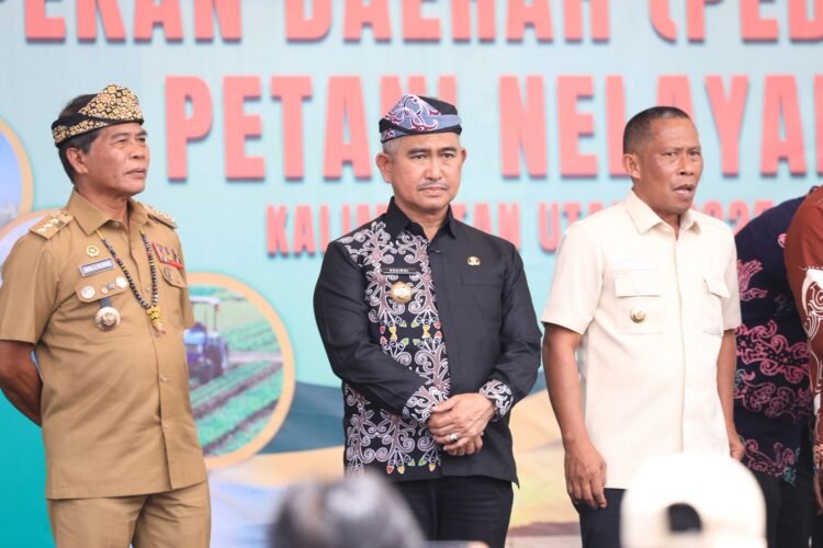 Pemkot Tarakan Maksimalkan Lahan untuk Pertanian Kelapa, Kakao, dan Kopi