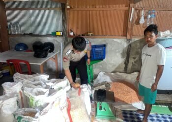 Bhabinkamtibmas Polsek Tanjung Palas Dampingi Panen Jagung di Teluk Inding