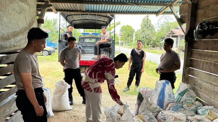 Polisi Hadir di Tengah Petani, Panen Jagung Desa Karang Agung Hasilkan 163 Kg