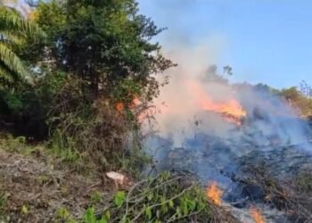 Karhutla di Tarakan Menurun, BPBD Imbau Warga Tetap Waspada Membakar Lahan