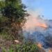 Karhutla di Tarakan Menurun, BPBD Imbau Warga Tetap Waspada Membakar Lahan