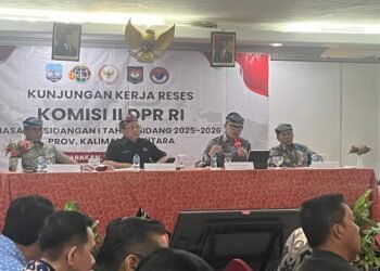 Pusat Sesuaikan Dana Transfer, Pemerintah Daerah Diminta Efisien   