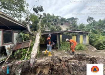 Hujan dan Angin Ekstrem Landa Tarakan, BPBD Kerahkan 3 Tim Atasi 36 Titik Terdampak   