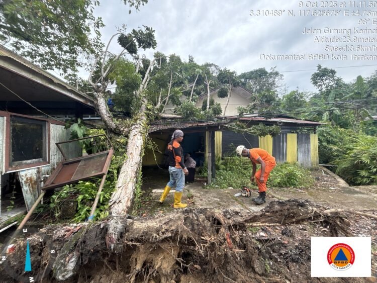 Hujan dan Angin Ekstrem Landa Tarakan, BPBD Kerahkan 3 Tim Atasi 36 Titik Terdampak   