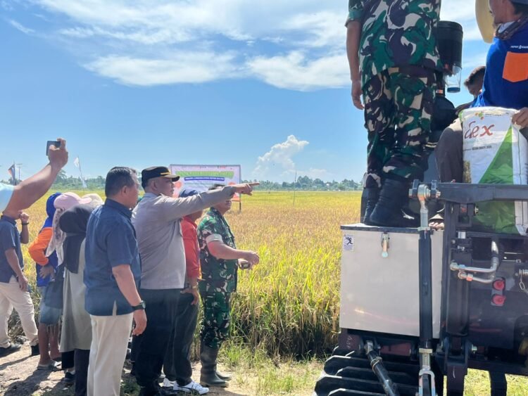 Kapolresta Bulungan Dukung Panen Bersama Project Agrosolution Pupuk Kaltim di Sajau Hilir