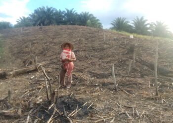 Bhabinkamtibmas Desa Pimping Dampingi Petani Tanam Jagung di Lahan Kelompok Tani Maju