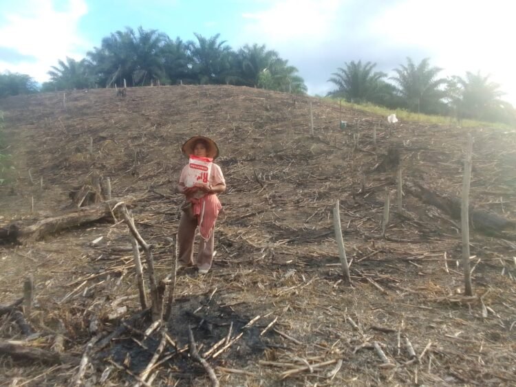 Bhabinkamtibmas Desa Pimping Dampingi Petani Tanam Jagung di Lahan Kelompok Tani Maju