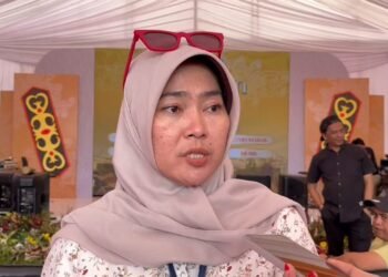 DPMPTSP Balikpapan Gandeng BKPM Promosikan Potensi Investasi Daerah