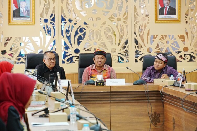 Gelar Rakor dan Capacity Building, TPAKD Dorong Percepatan Akses Keuangan Inklusif di Daerah  