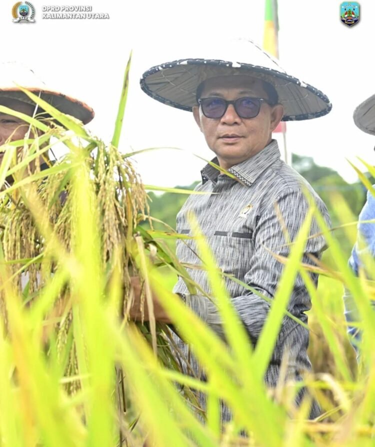 Gelar Pahlawan Nasional untuk Soeharto Disambut Positif DPRD Kaltara