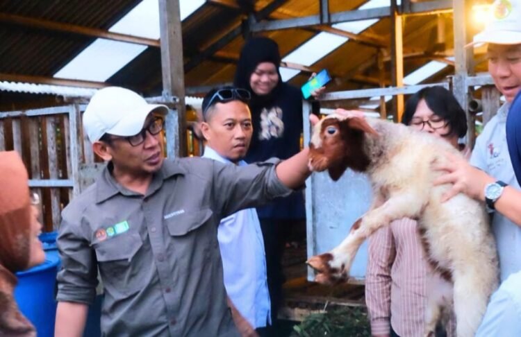 Peternak Lokal Dapat Pendampingan Intensif Jaga Imunitas Ternak