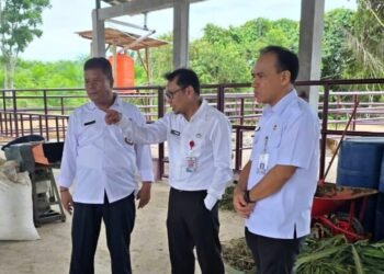 Pengawasan Hewan Ternak dan Produk Hewani di Kaltim Diperketat Menjelang Nataru