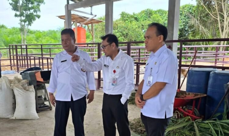 Pengawasan Hewan Ternak dan Produk Hewani di Kaltim Diperketat Menjelang Nataru