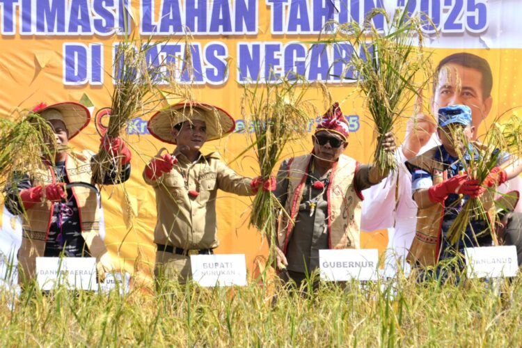 Panen Raya di Perbatasan Negeri, Gubernur Dorong Pengembangan Padi Adan 
