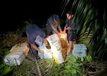 Patroli Gabungan Gagalkan Penyelundupan 576 Kaleng Miras Ilegal di Perbatasan RI–Malaysia