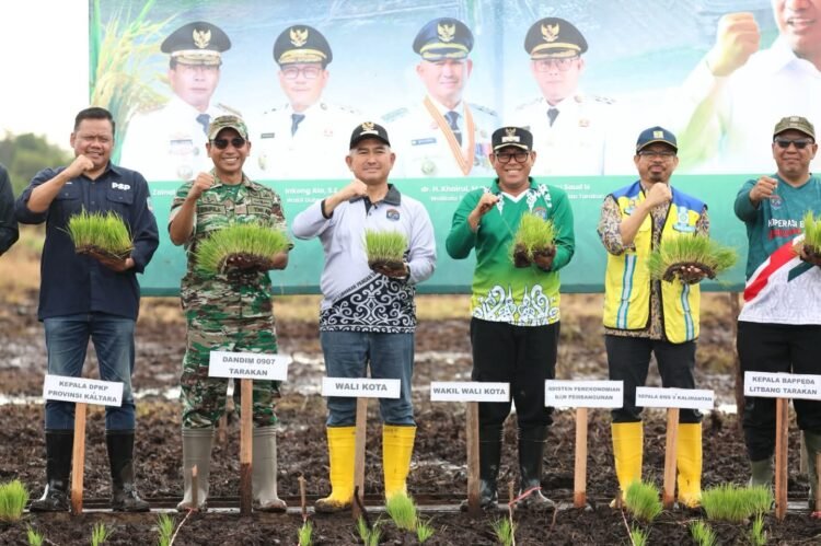 Tanam Padi Tahap Awal, Tarakan Jalankan Strategi Penguatan Pangan Daerah
