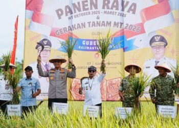 Panen Padi Capai Target, Komitmen Penuh Pemerintah Mendukung Swasembada Pangan Nasional