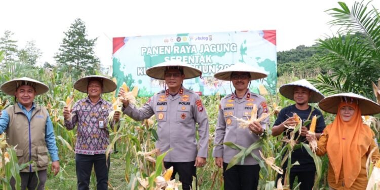 Panen Raya Jagung Kuartal IV, Kapolda Kaltara Tegaskan Dukungan ke Petani   