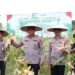 Panen Raya Jagung Kuartal IV, Kapolda Kaltara Tegaskan Dukungan ke Petani   