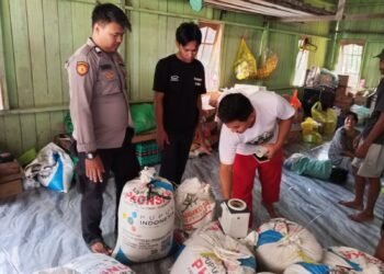 Dukung Program Asta Cita, Polsek Tanjung Palas Utara Panen 1,5 Ton Hasil Pertanian Bersama Kelompok Tani Bina Kayan