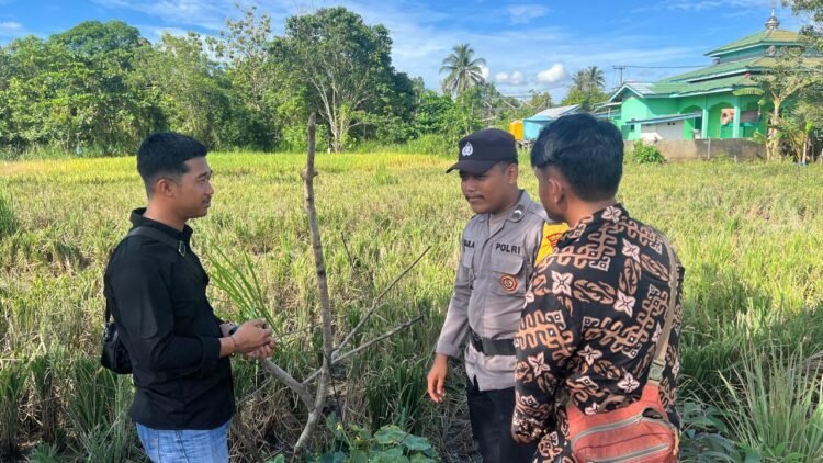 Bhabinkamtibmas Desa Antutan Dukung Ketahanan Pangan, Turun Langsung Dampingi Warga