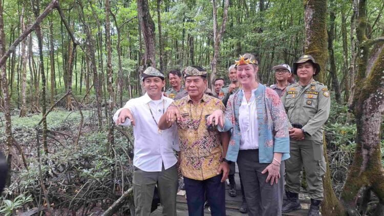 KKMB Tarakan Jadi Contoh Konservasi Mangrove dan Habitat Bekantan