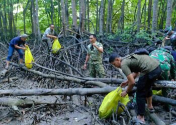 Tindak Lanjut Arahan Presiden, Pendam VI/Mlw dan Yonzipur 17/AD Bersihkan Kawasan Wisata Mangrove