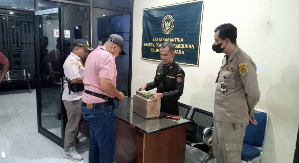 Karantina Kaltara Petakan Pemasukan Barang dari Malaysia