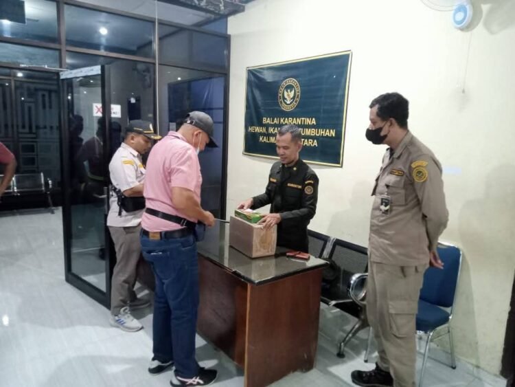 Karantina Kaltara Petakan Pemasukan Barang dari Malaysia