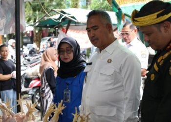 Maraknya Ayam Beku Dinilai Berpotensi Matikan Peternak Lokal