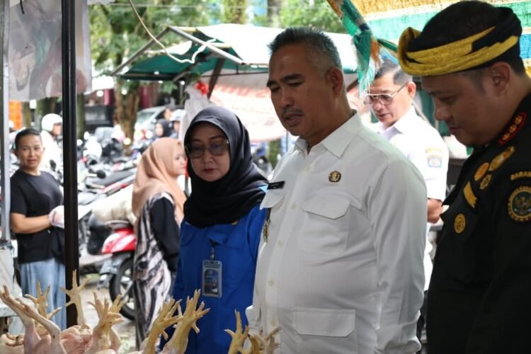 Maraknya Ayam Beku Dinilai Berpotensi Matikan Peternak Lokal