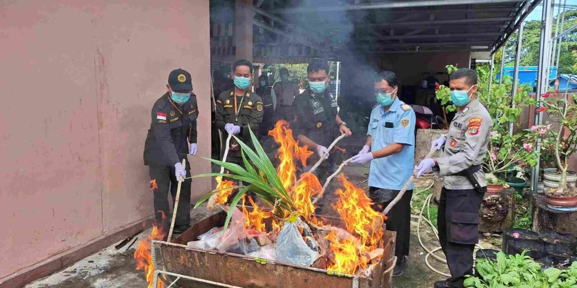 Karantina Kalimantan Utara Musnahkan Produk Hewan dan Benih Ilegal di Perbatasan