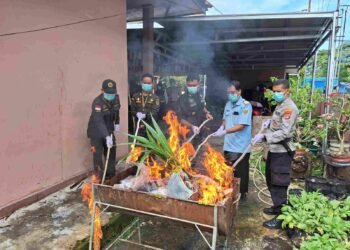 Karantina Kalimantan Utara Musnahkan Produk Hewan dan Benih Ilegal di Perbatasan