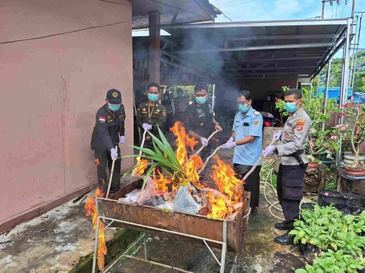 Karantina Kalimantan Utara Musnahkan Produk Hewan dan Benih Ilegal di Perbatasan