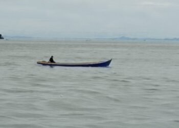 BMKG Prediksi Gelombang Tinggi, Kapal Kecil Disarankan Tunda Keberangkatan